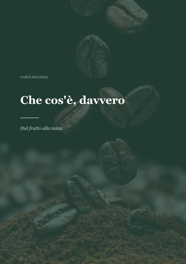 L'apertura della seconda parte, dal frutto alla tazza