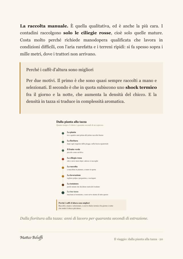 Come si legge un'etichetta, con un caffè vero di Oltre